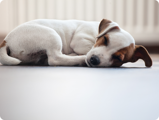 Underfloor Heating St Ives